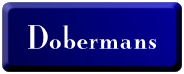 Dobermans